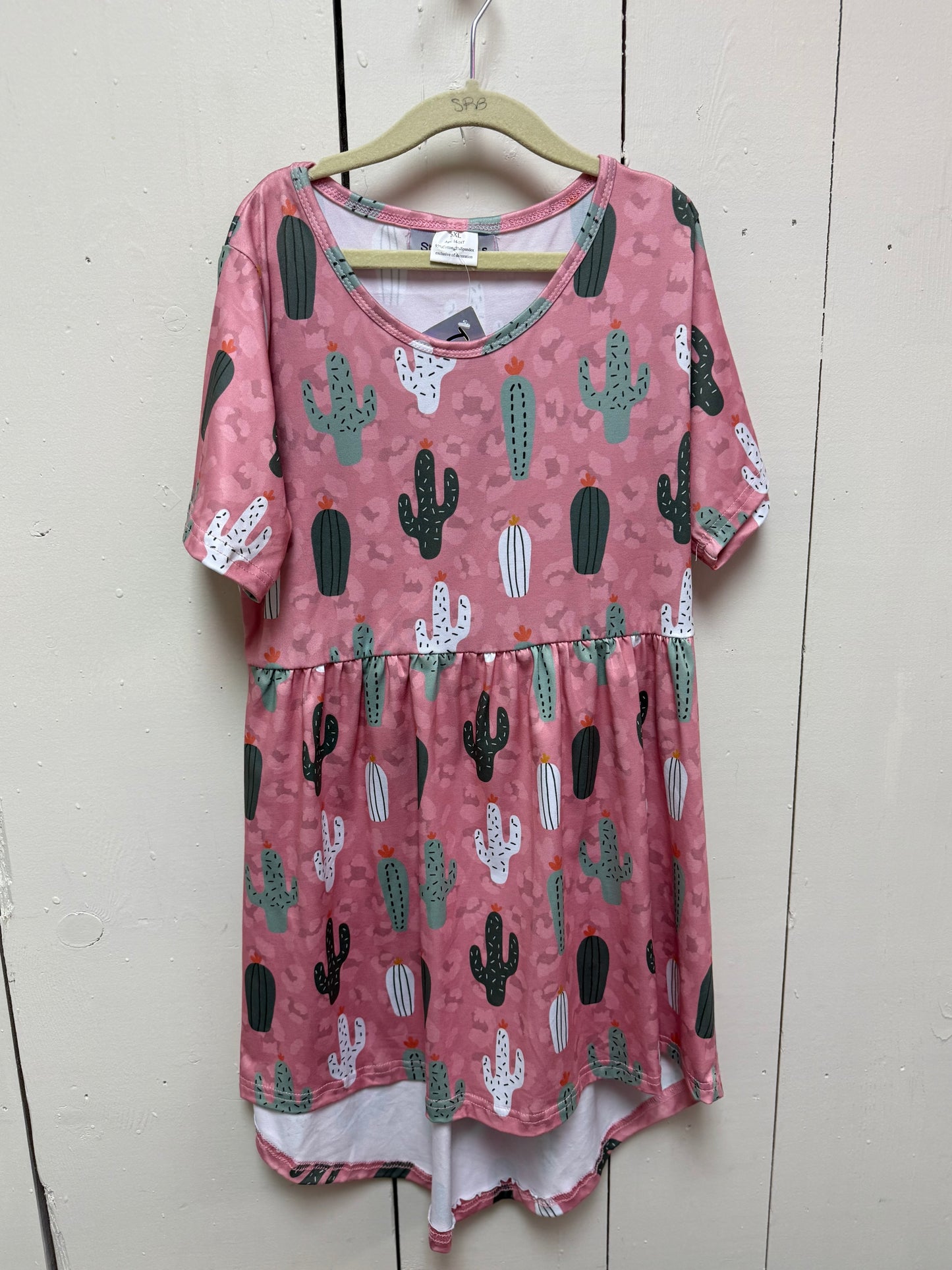 pink dress w cactus